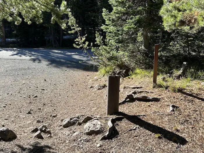 Lewis Lake site #2