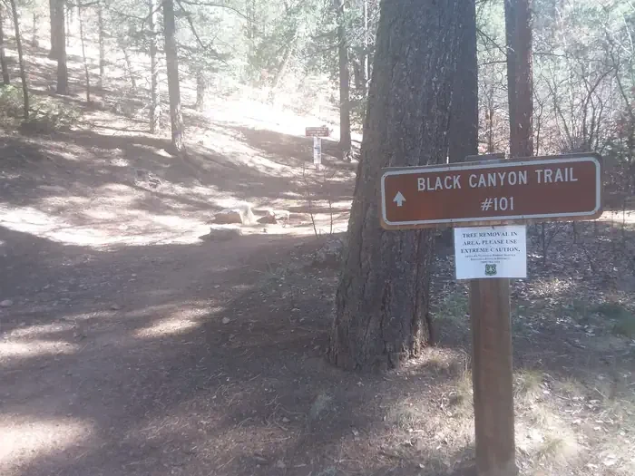 Black Canyon Campground (Santa Fe National Forest, NM)