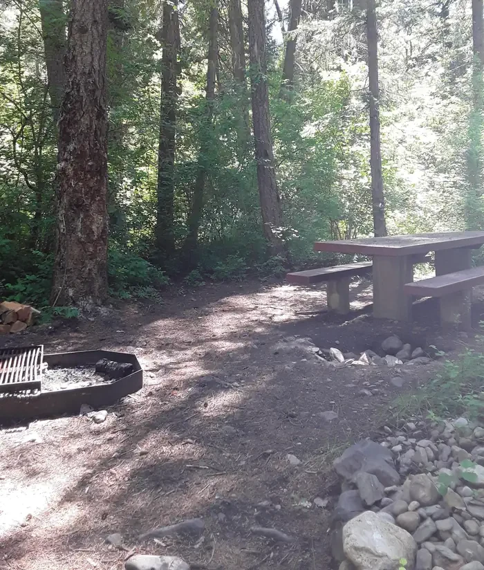 Trout Creek Campground (MT)