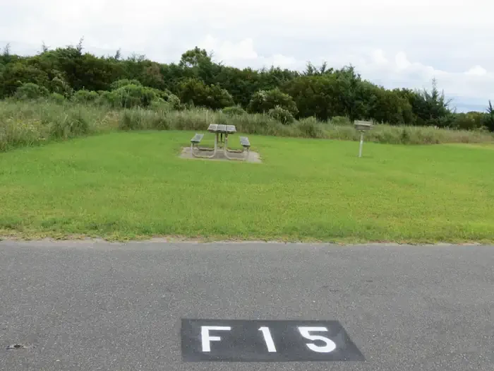 F015