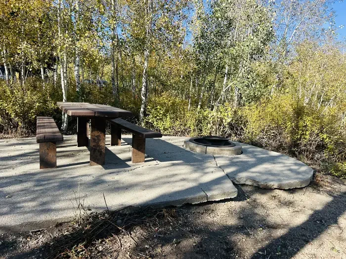 A13