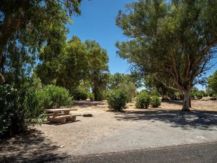 Site 9