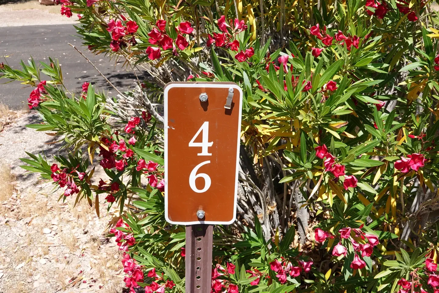 Site 46