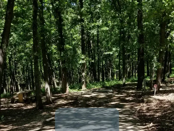 46