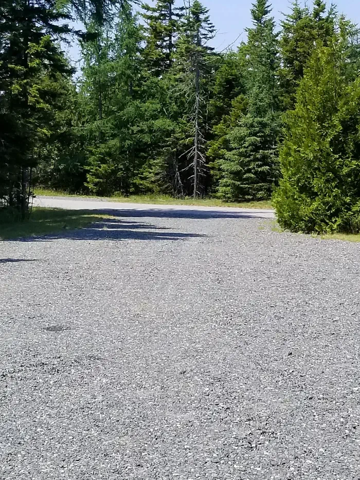 B32