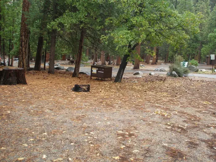 Site: 68