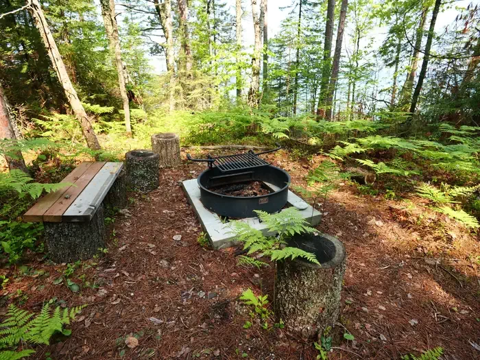 Twelvemile Cabin