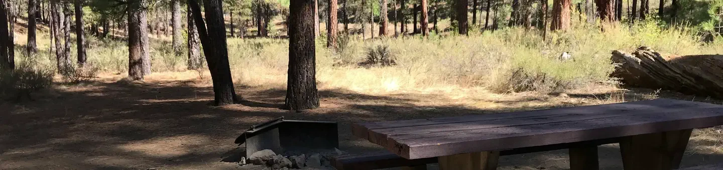 007