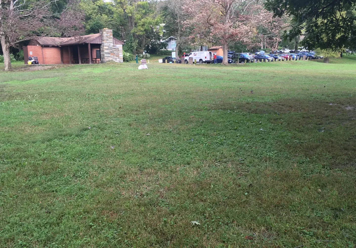 Picnic Grove 01 - 9:30AM to 1:30PM