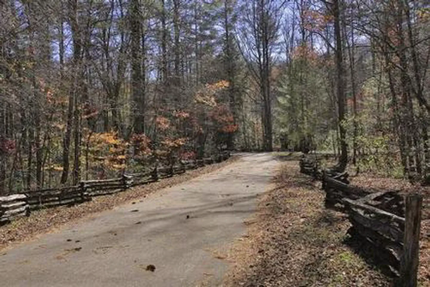 Rattler Ford Group Campground