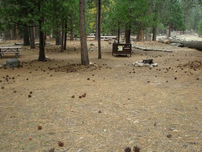 Site: 59