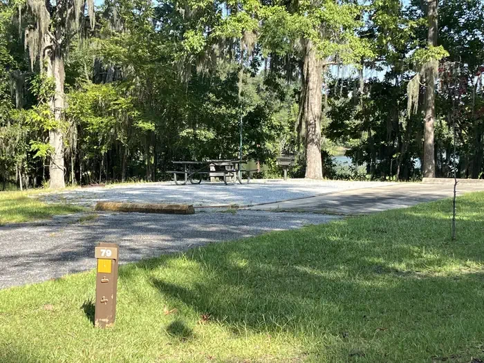 79