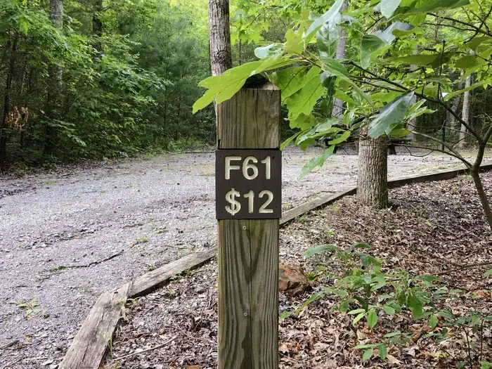 61