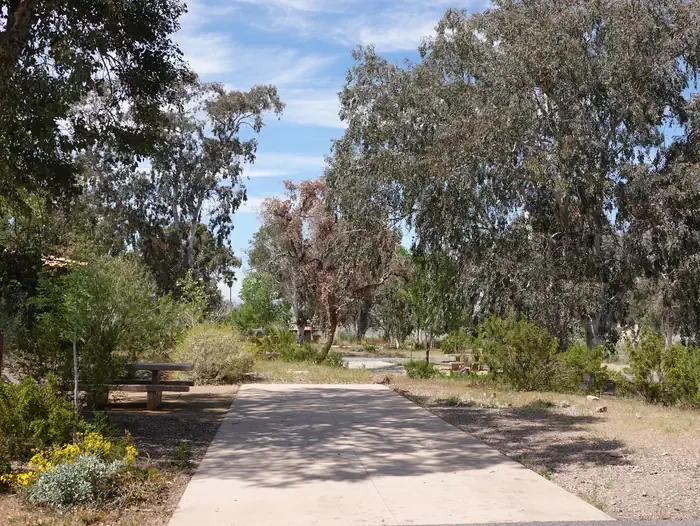 Site 52