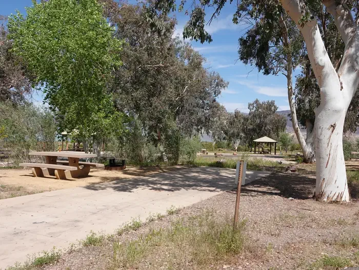 Site 61