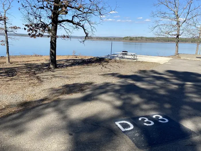 D33