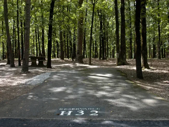 H32