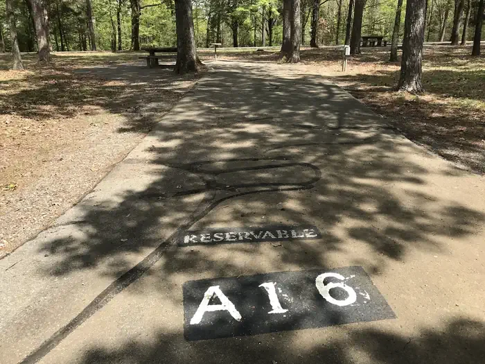 A16