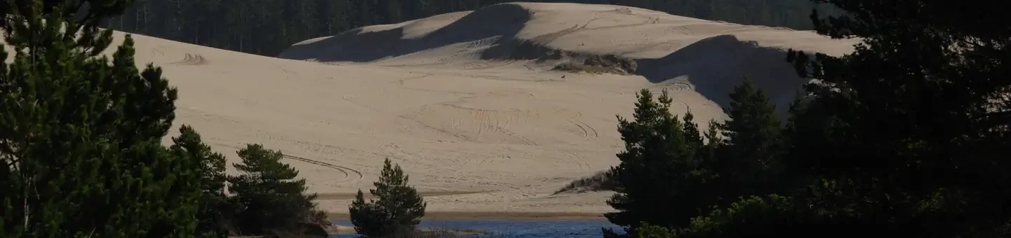 Spinreel Sand Camping