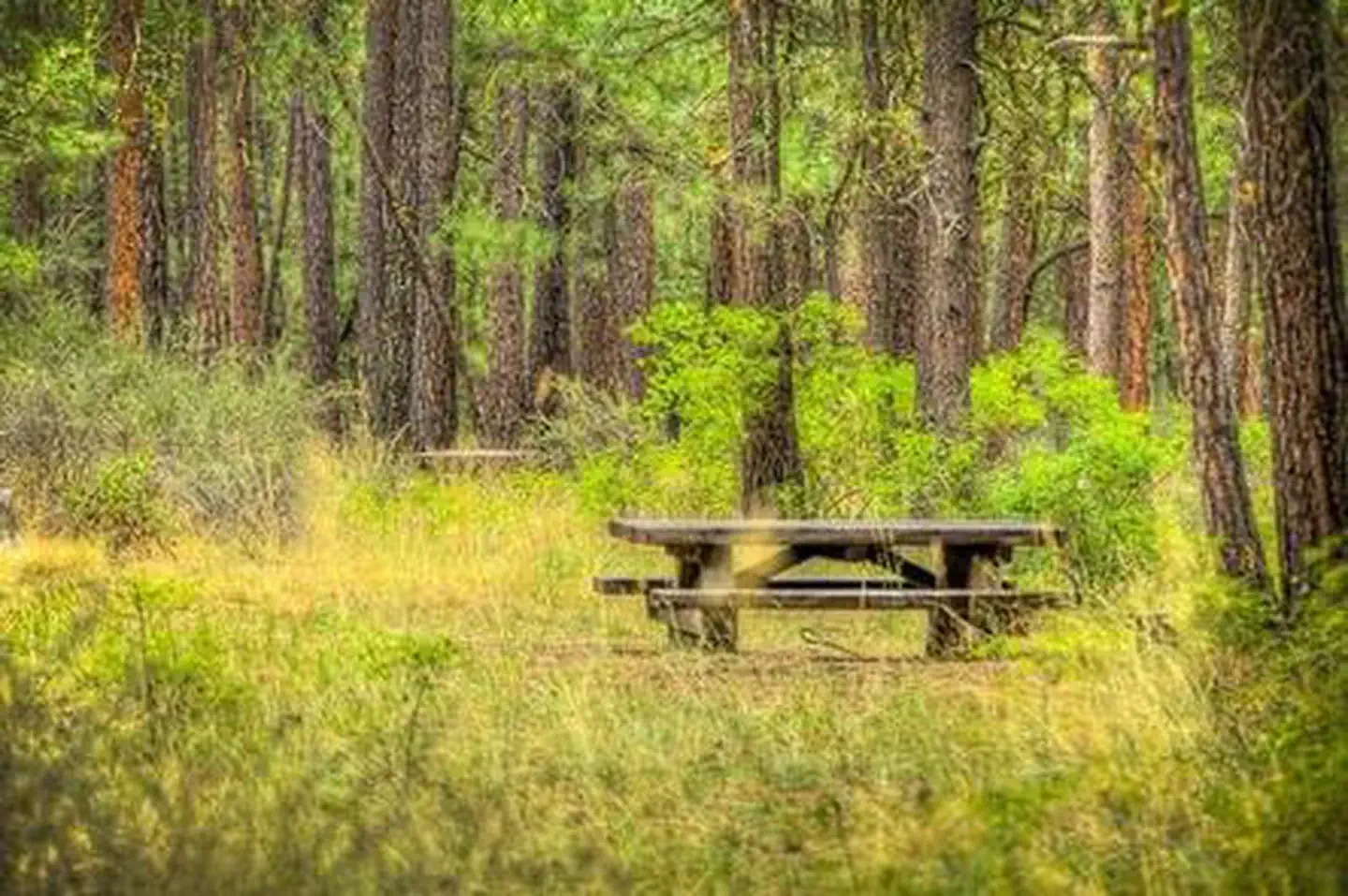 Indian Ford Campground