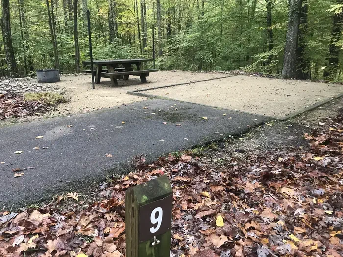 G009