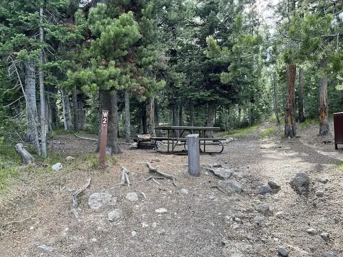 Lewis Lake site #2
