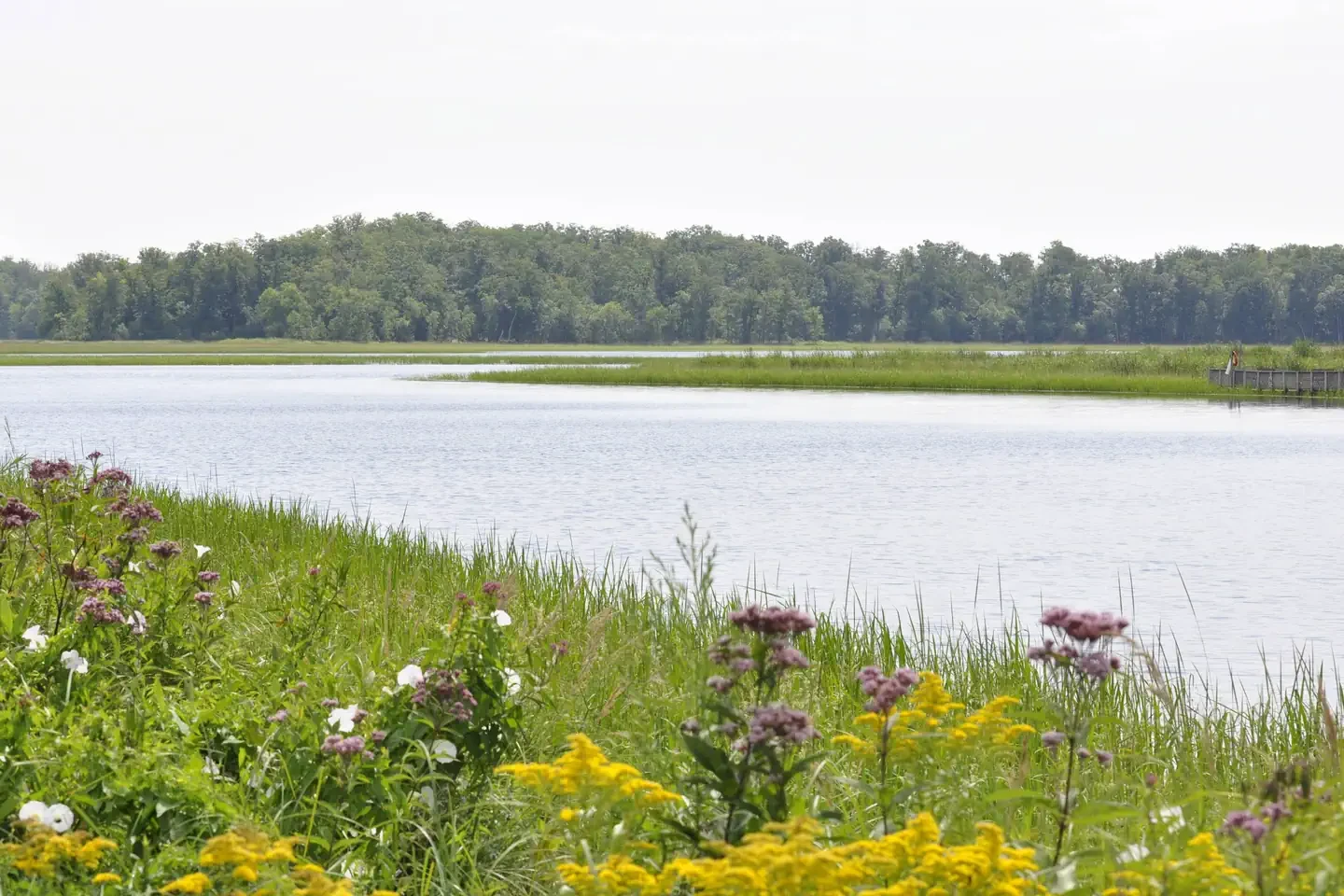 Sandy Lake