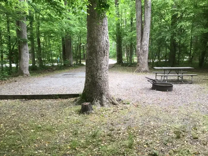 146