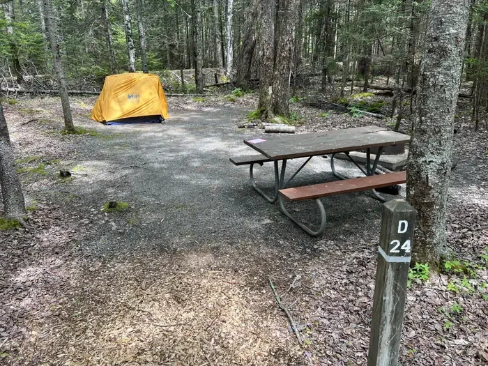 D24
