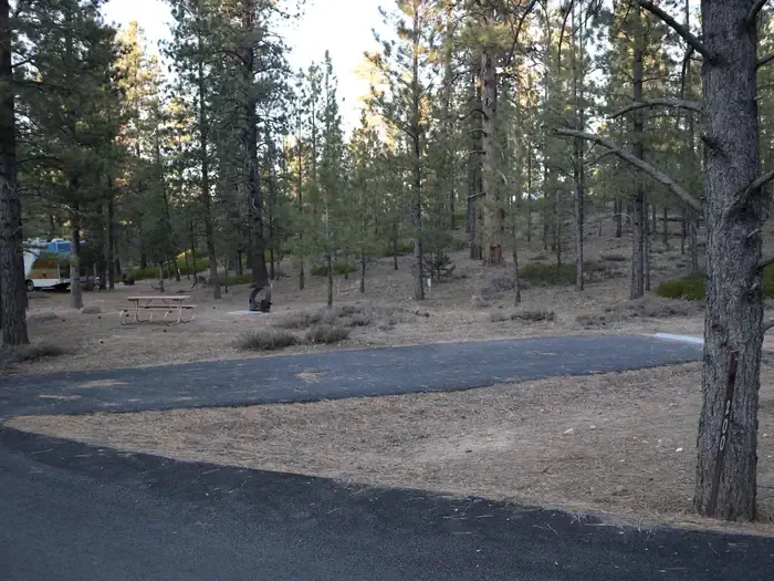 A200
