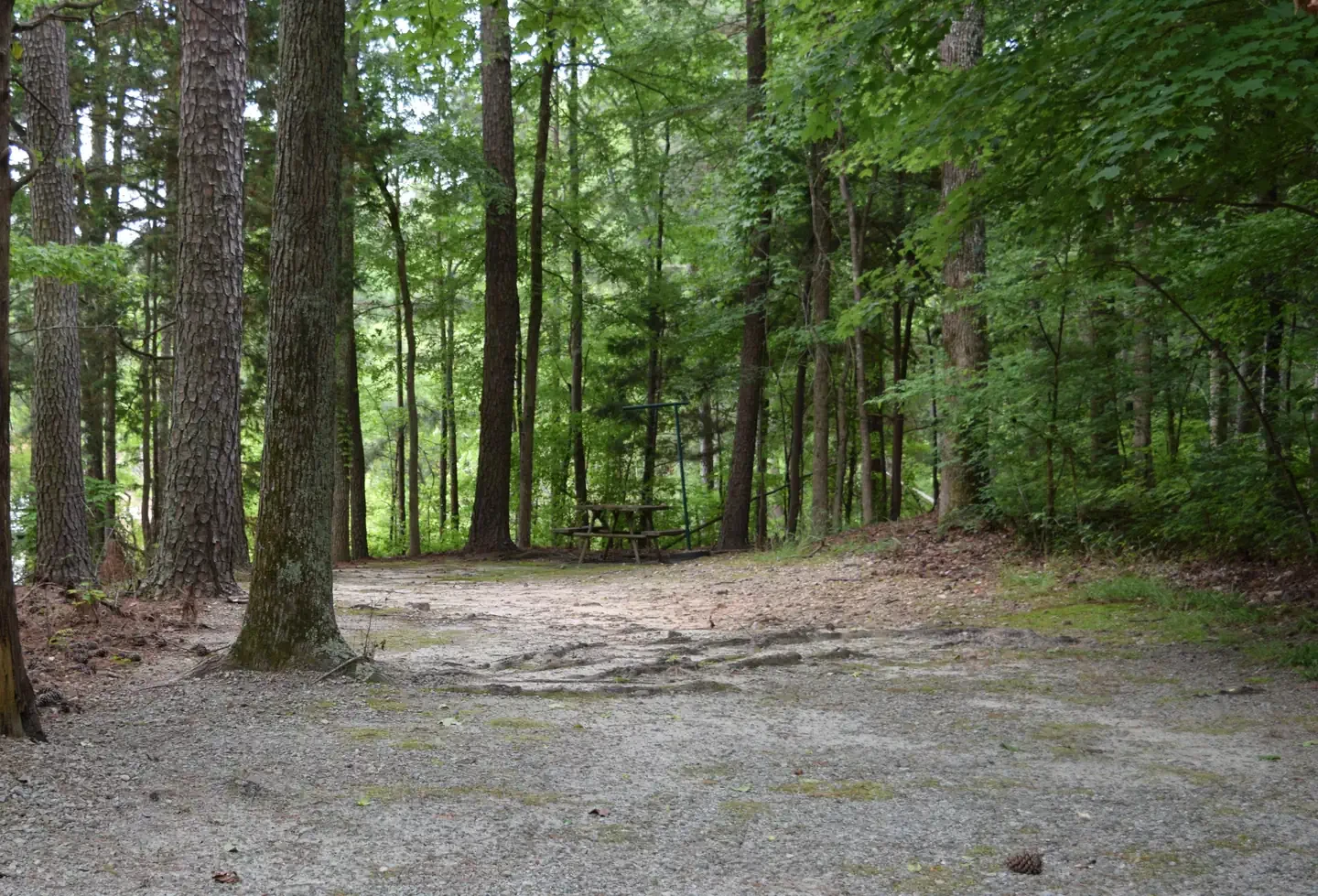 Piney Woods Group Camping Area