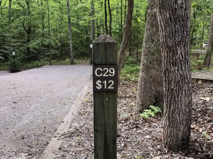 29