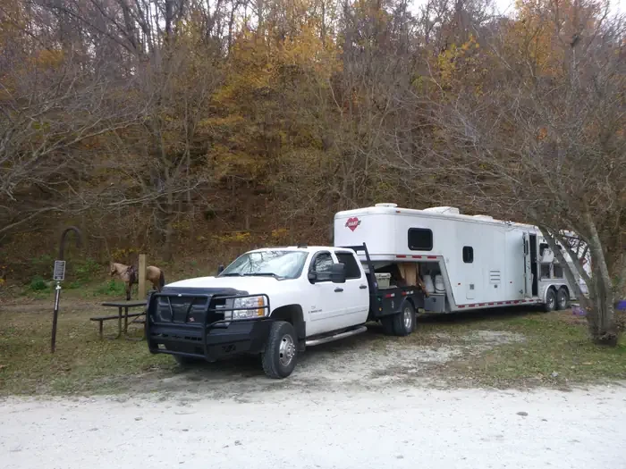 33 - Horse Site