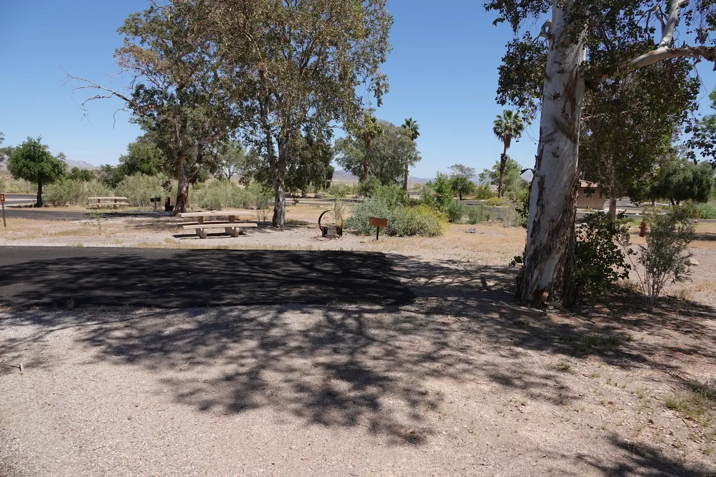 Site 79