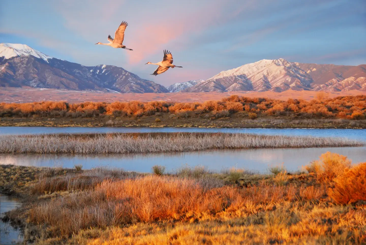 Great Sand Dunes National Park & Preserve