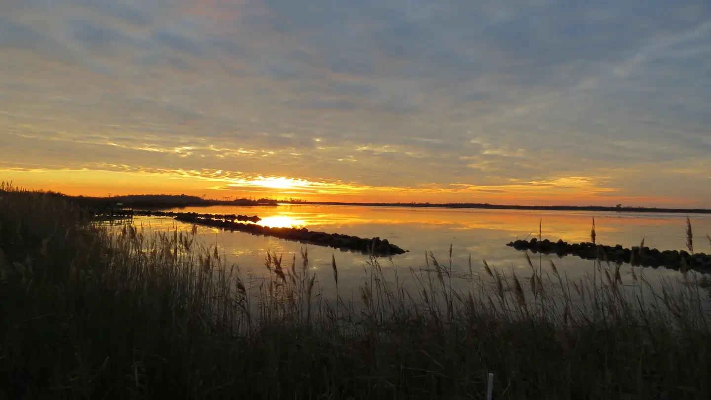 Back Bay National Wildlife Refuge