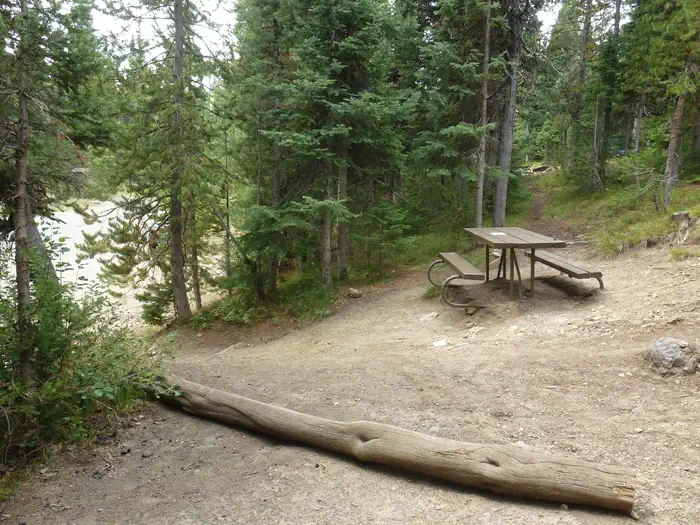 Lewis Lake site #7