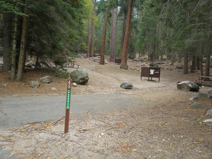 Site: 45