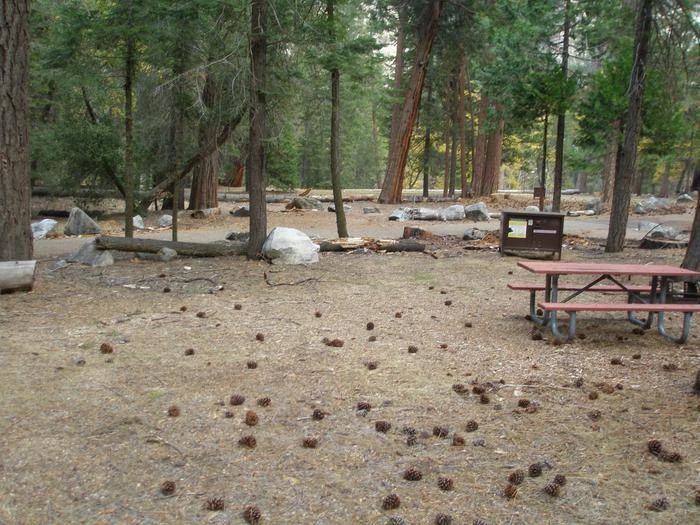 Site: 66