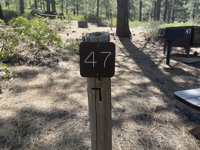 47