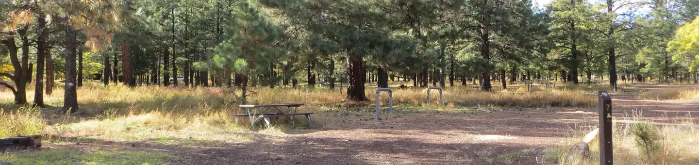 007