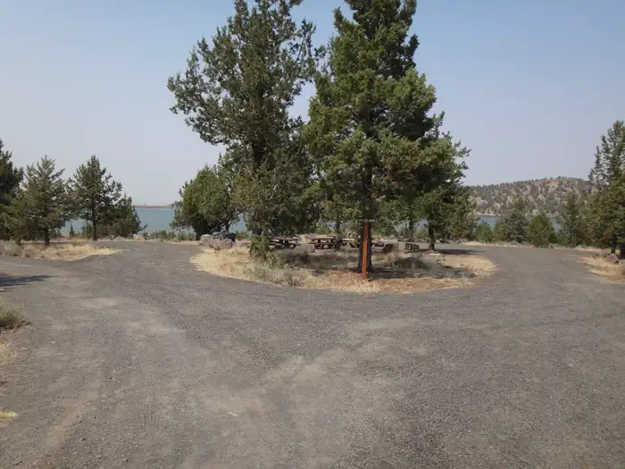 Juniper Group Campsite