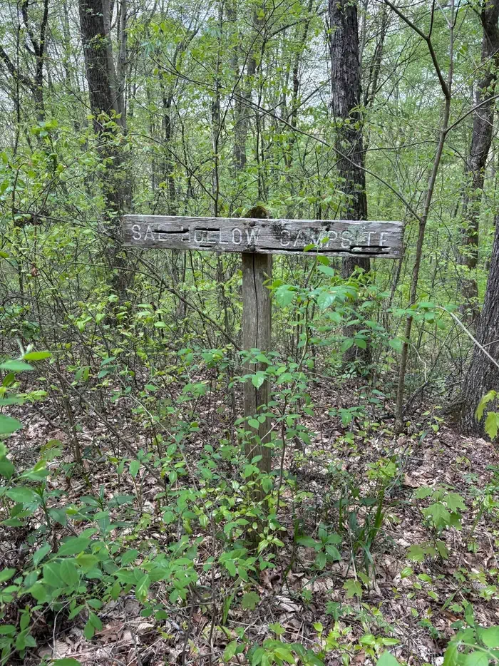 Sal Hollow