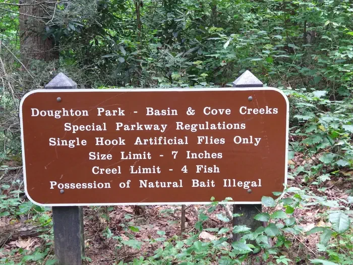 Basin Cove Backcountry Camping