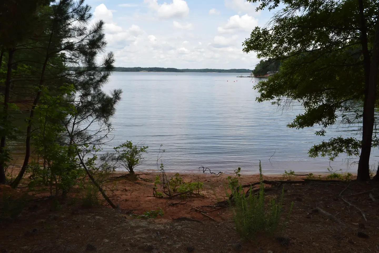 Piney Woods Group Camping Area