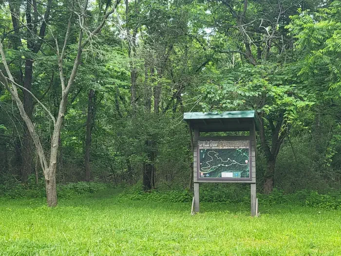 Coon Creek (il)