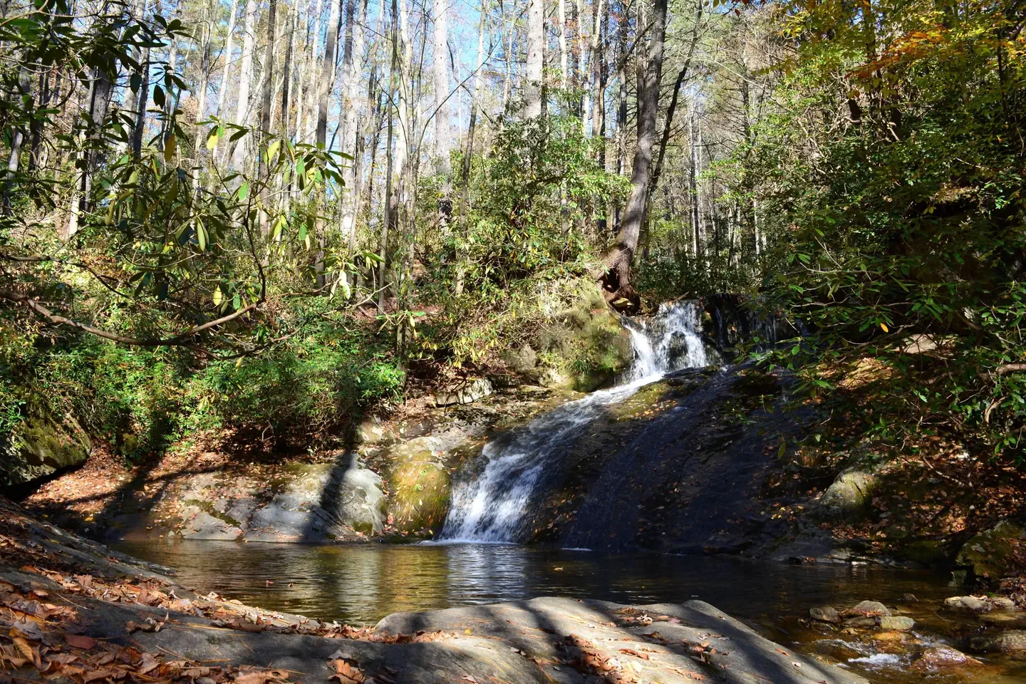 Mortimer Campground