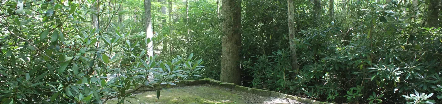 C08