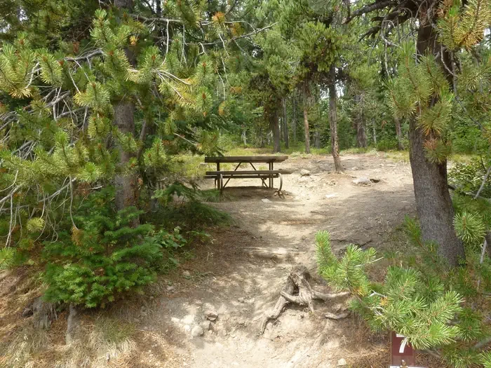 Lewis Lake site #7