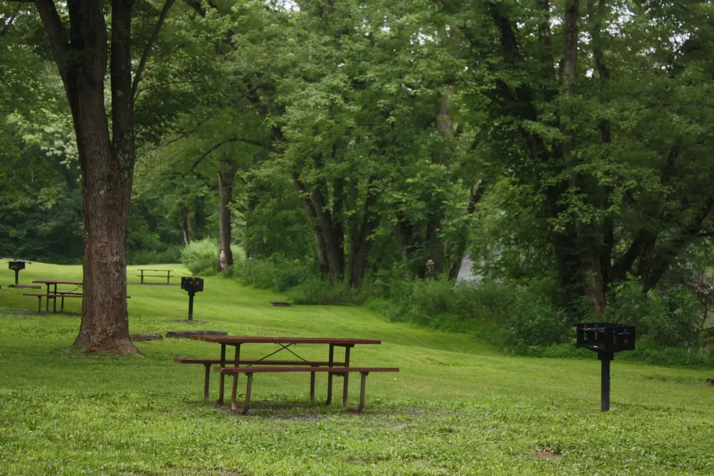 Spring Gap Campground